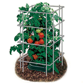 39 inch Park's Wire Tomato Pen - Pack of 3