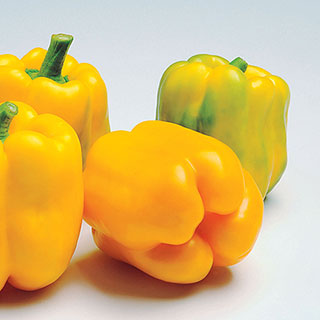 Admiral Hybrid Pepper Seeds