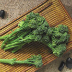 Aspabroc Hybrid Broccoli Seeds 1