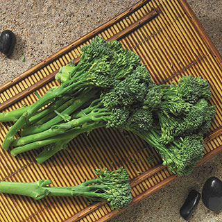Aspabroc Hybrid Broccoli Seeds