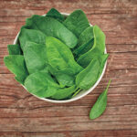 Baby Leaf Riverside Spinach Seeds 1