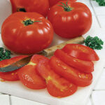 Big Beef Hybrid Tomato Seeds 1