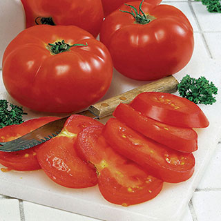 Big Beef Hybrid Tomato Seeds