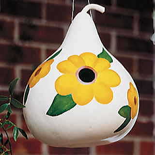 Birdhouse Gourd Seeds