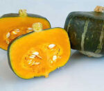 Bonbon Hybrid Squash Seeds 1