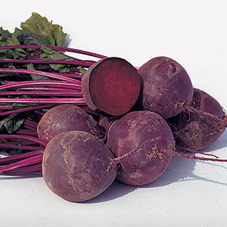 Boro Hybrid Organic Beet Seeds