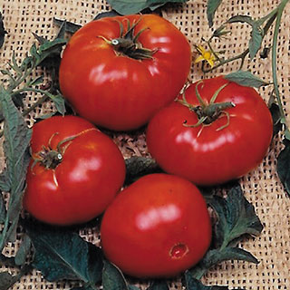 Brandywine Tomato Seeds