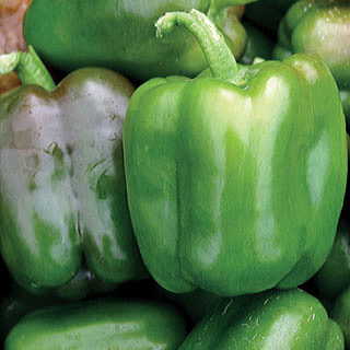 Candy Bell Hybrid Pepper Seeds