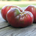 Cherokee Purple Organic Tomato Seeds 1