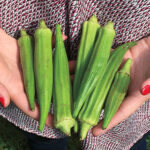 Clemson Spineless Okra Seeds 1