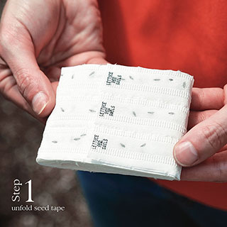 Damast Bunching Onion Seed Tape