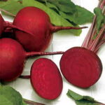 Detroit Dark Red Beet Seeds 1