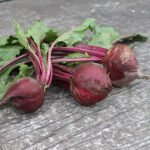 Detroit Dark Red Beet Seeds 1