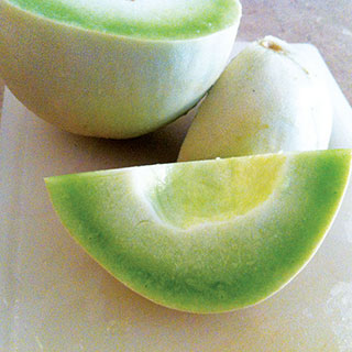 Dulce Nectar Honeydew Melon Seeds