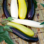 Fingerling Blend Eggplant Seeds 1