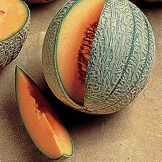 French Orange Hybrid Melon Seeds