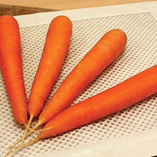 Fuerte Hybrid Carrot Seeds