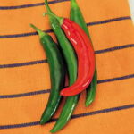 Garden Salsa Hybrid Pepper Seeds 1