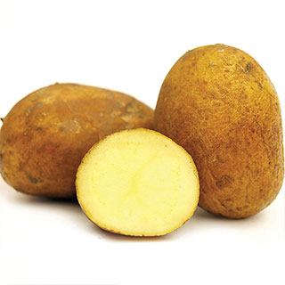 German Butterball Potato - 2 LB Bag
