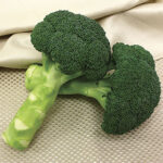 Green Magic  Hybrid Broccoli Seeds 1