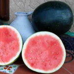 Harvest Moon Seedless Watermelon Seeds 1