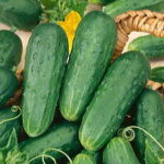 Homemade Pickles Cucumber Seeds 1