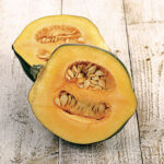 Honey Bear Acorn Squash Seeds 1