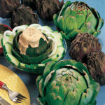 Imperial Star Artichoke Seeds 1