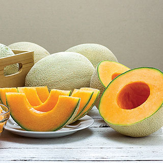 Infinite Gold Hybrid Cantaloupe Seeds