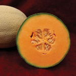 Infinite Gold Hybrid Cantaloupe Seeds 1