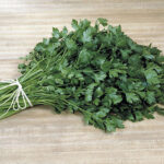 Italian Plain Leaf Parsley Seeds 1