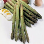 Jersey Knight Hybrid Asparagus Seeds 1