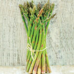 Jersey Supreme Hybrid Asparagus Plants 1