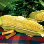 Legend Hybrid Corn Seeds 1
