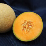 Lilliput Hybrid Cantaloupe Seeds 1