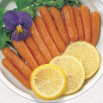 Little Finger Carrot Seeds 1