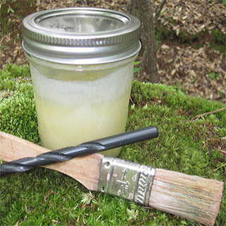 Log Plugging Kit for Growing Mushrooms