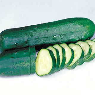 Marketmore Select Organic Cucumber Seeds