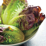 Mini Romaine Blend Lettuce Seeds 1