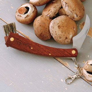 Mushroom Collecting Knife