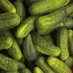 National Pickling Cucumber Seeds 1