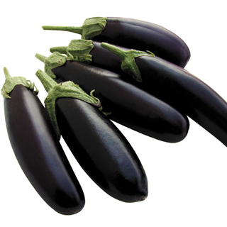 Orlando Hybrid Eggplant Seeds