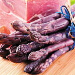 Pacific Purple Asparagus Plants 1