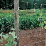 Park’s 5ft x 30ft Trellis Netting 1