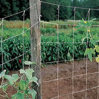 Park's 5ft x 30ft Trellis Netting