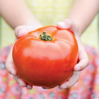 Park's Legacy Tomato Seeds