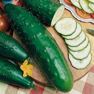Park's Select Slicer Hybrid Cucumber Seeds