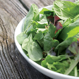 Parks Spinach Salad Blend