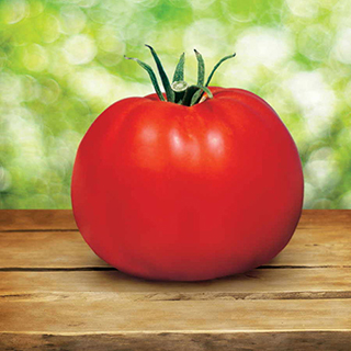 Park's Whopper CR Improved Hybrid Tomato Seeds