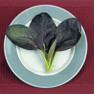 Purple Hybrid Pak Choi Seed Tape